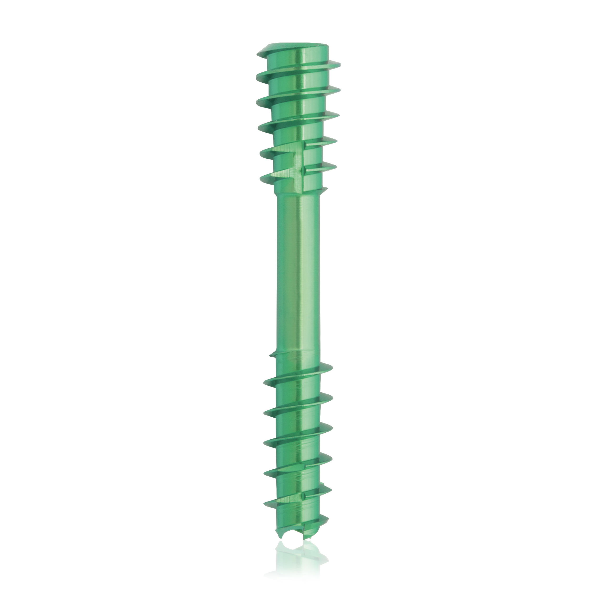 L = 26mm